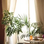 4 Balconi Rooms-boutique فندق مبيت وإفطار 3*