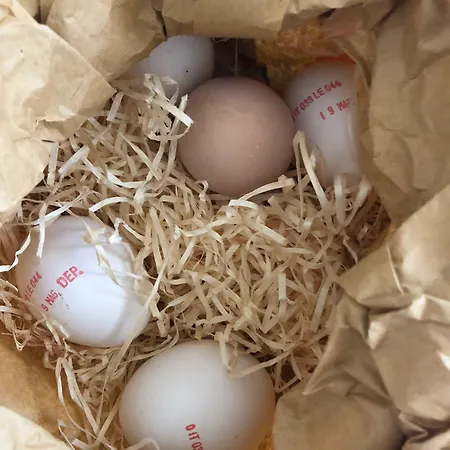 4 Balconi Rooms-boutique 3*