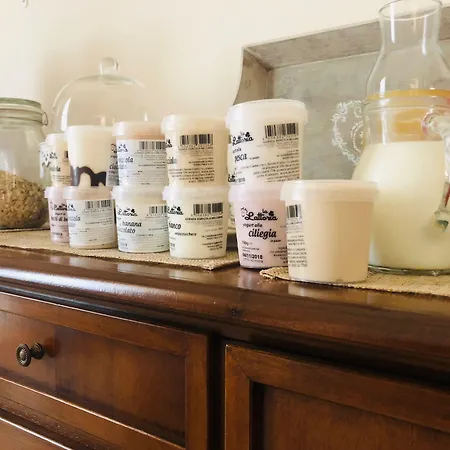 4 Balconi Rooms-boutique Bed and Breakfast Λέτσε