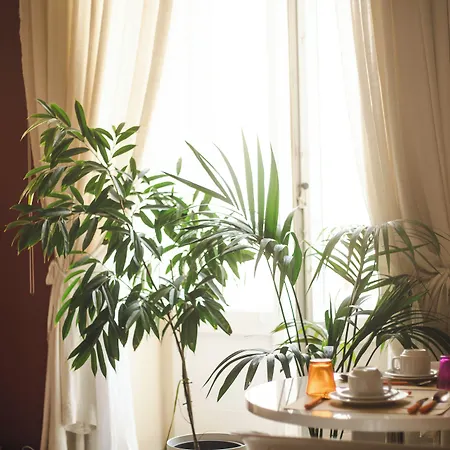 4 Balconi Rooms-boutique Bed & Breakfast Lecce